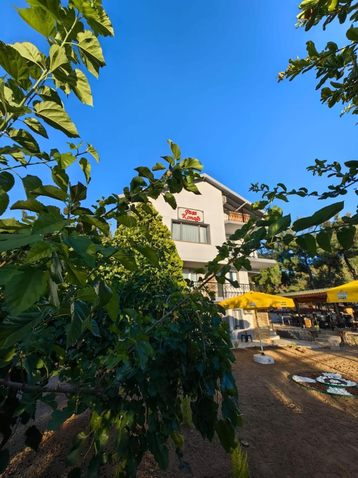 Pasa Konagi Ayvalik Hotell Exteriör bild